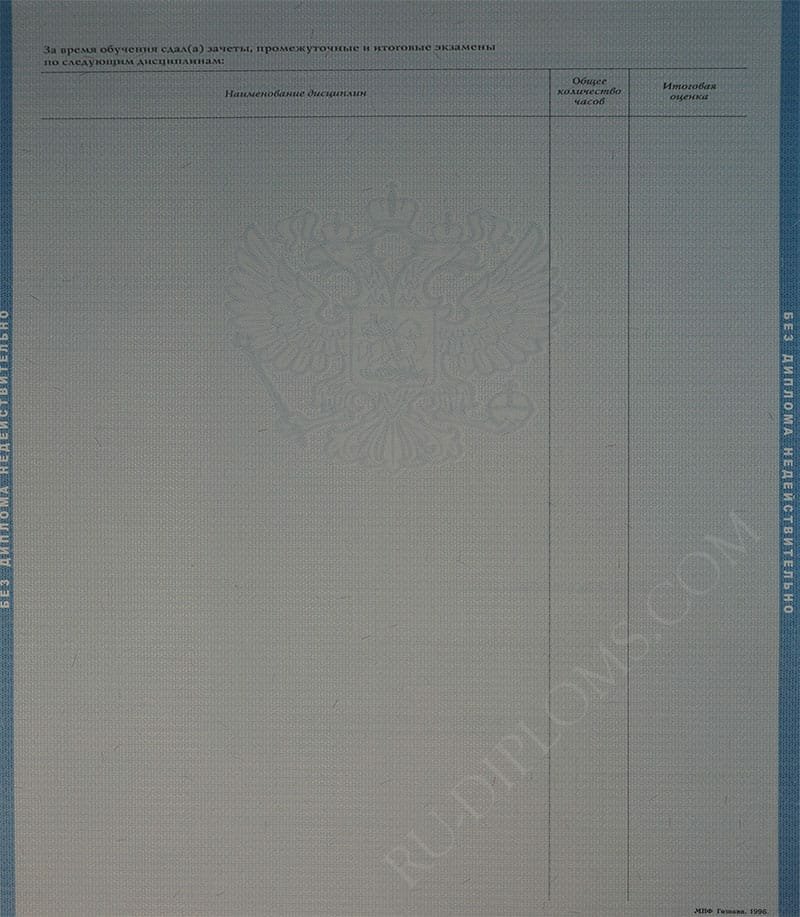 Диплом бакалавра 2004-2009 год  